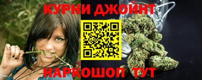 гашик Заводоуковск