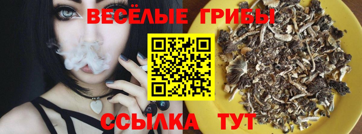 Псилоцибиновые грибы Psilocybine cubensis  Вход с VPN  Медногорск 